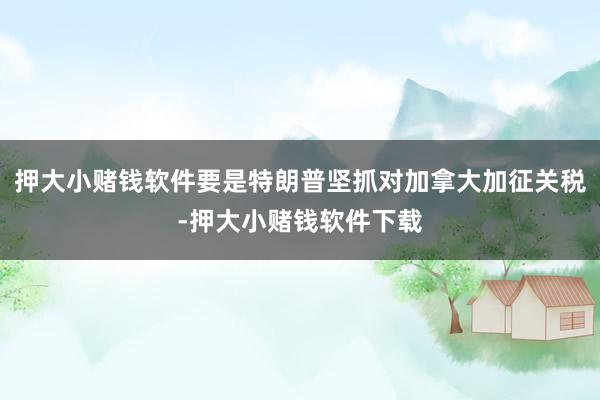 押大小赌钱软件要是特朗普坚抓对加拿大加征关税-押大小赌钱软件下载