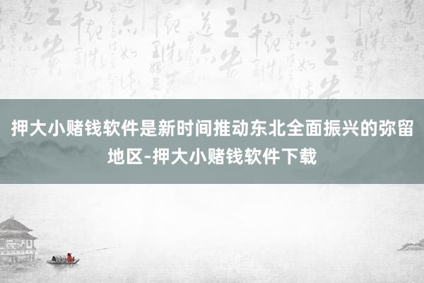 押大小赌钱软件是新时间推动东北全面振兴的弥留地区-押大小赌钱软件下载