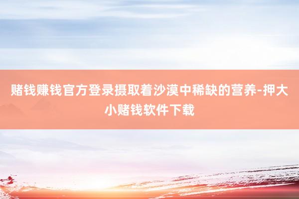 赌钱赚钱官方登录摄取着沙漠中稀缺的营养-押大小赌钱软件下载